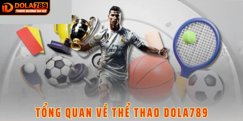 Thể thao DOLA789 và những điều cần biết