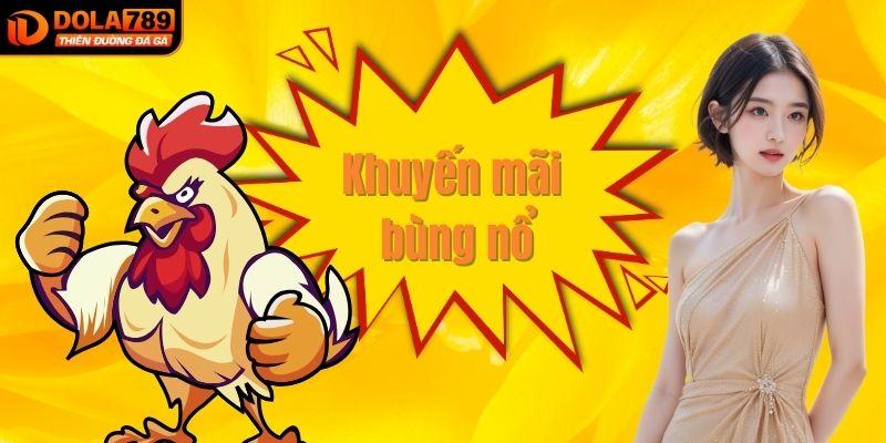 Tham gia đá gà trực tiếp tại DOLA789 và nhận ngay ưu đãi hấp dẫn