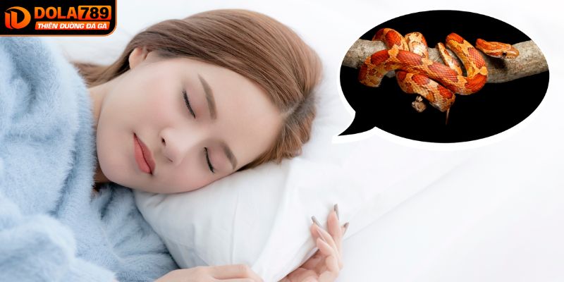 Mỗi giấc mơ về loài rắn đều có con số may mắn riêng!